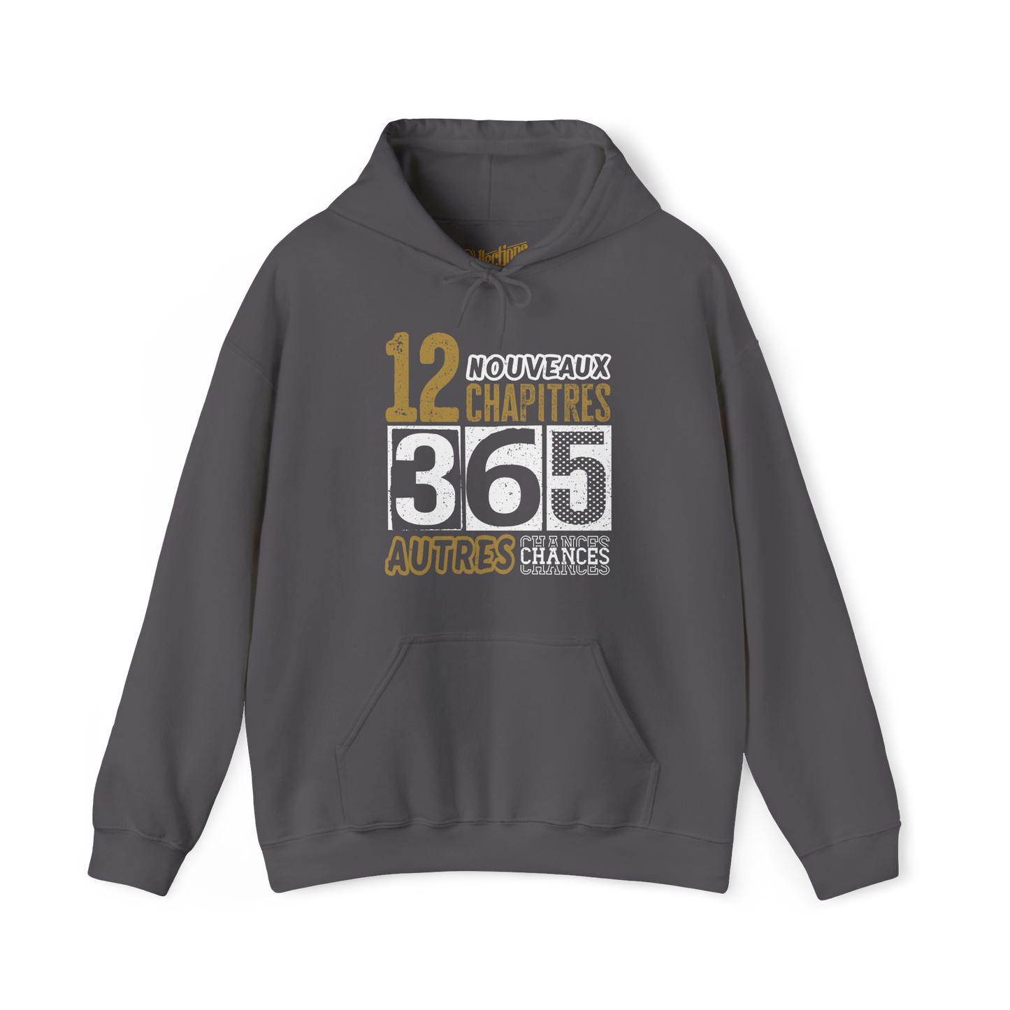 Sweat à capuche - 12 chapitres • 365 autres chances